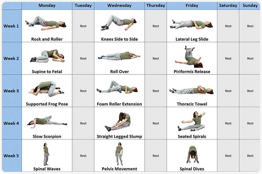 The Back Pain Miracle